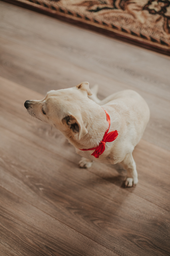 - fotograf ślubny Białystok Łomża