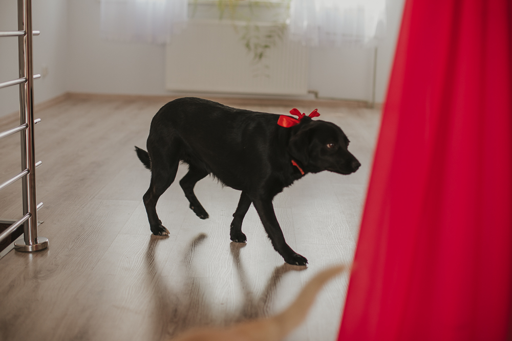 - fotograf ślubny Białystok Łomża