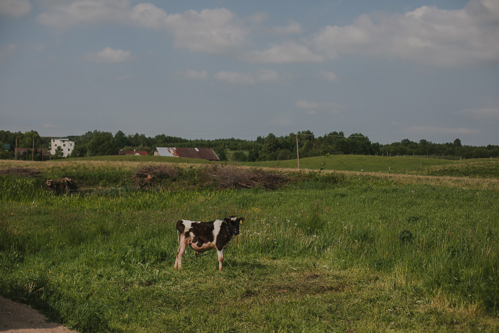- fotograf ślubny Białystok Łomża