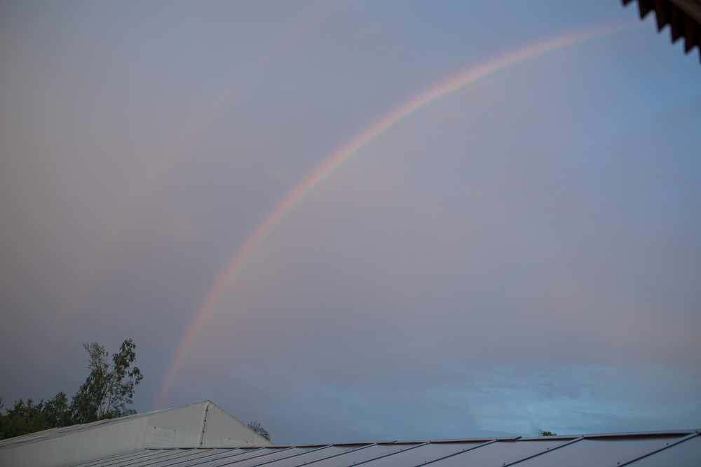 - fotograf ślubny Białystok Łomża