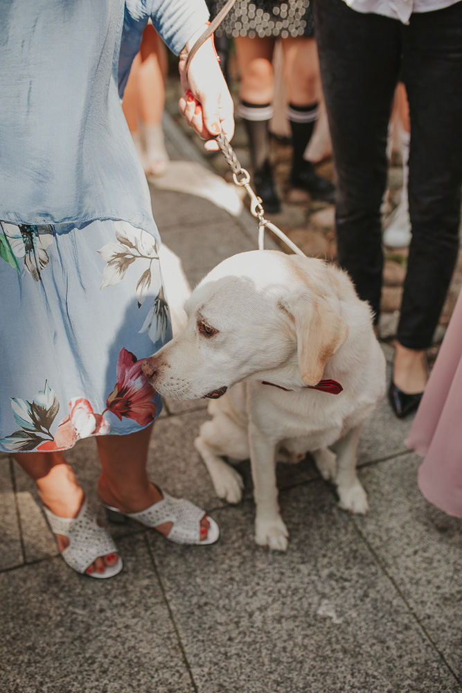 Paulina i Dawid – reportaż ślubny - fotograf ślubny Białystok Łomża Podlasie - Kamil Rumiński fotografia ślubna - fotograf ślubny Białystok Łomża