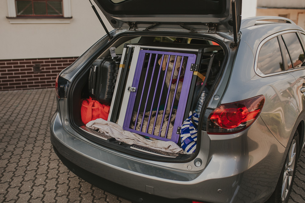 Paulina i Dawid – reportaż ślubny - fotograf ślubny Białystok Łomża Podlasie - Kamil Rumiński fotografia ślubna - fotograf ślubny Białystok Łomża