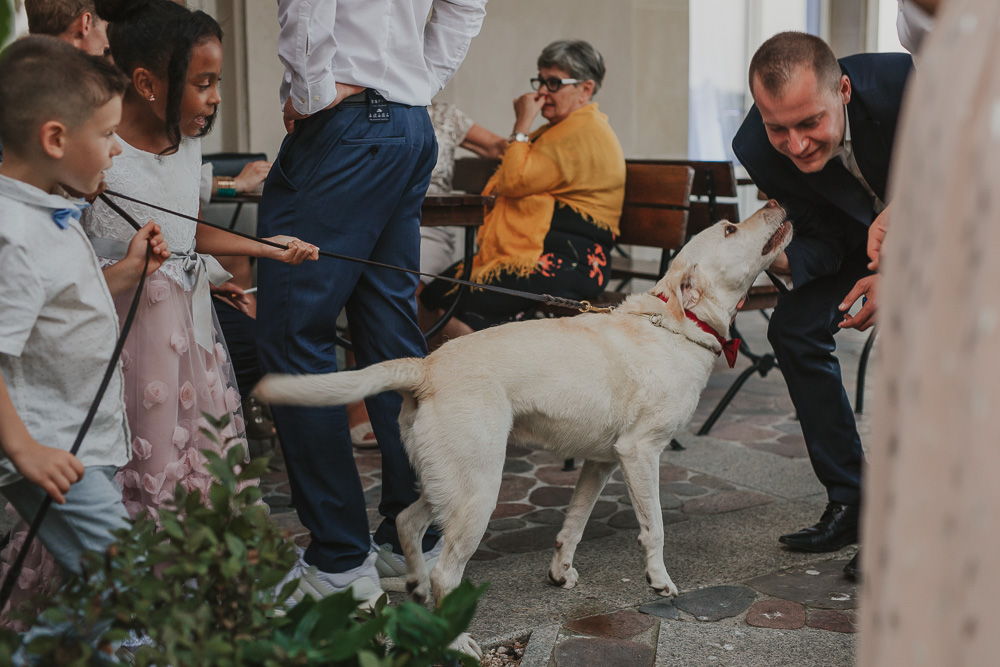 Paulina i Dawid – reportaż ślubny - fotograf ślubny Białystok Łomża Podlasie - Kamil Rumiński fotografia ślubna - fotograf ślubny Białystok Łomża