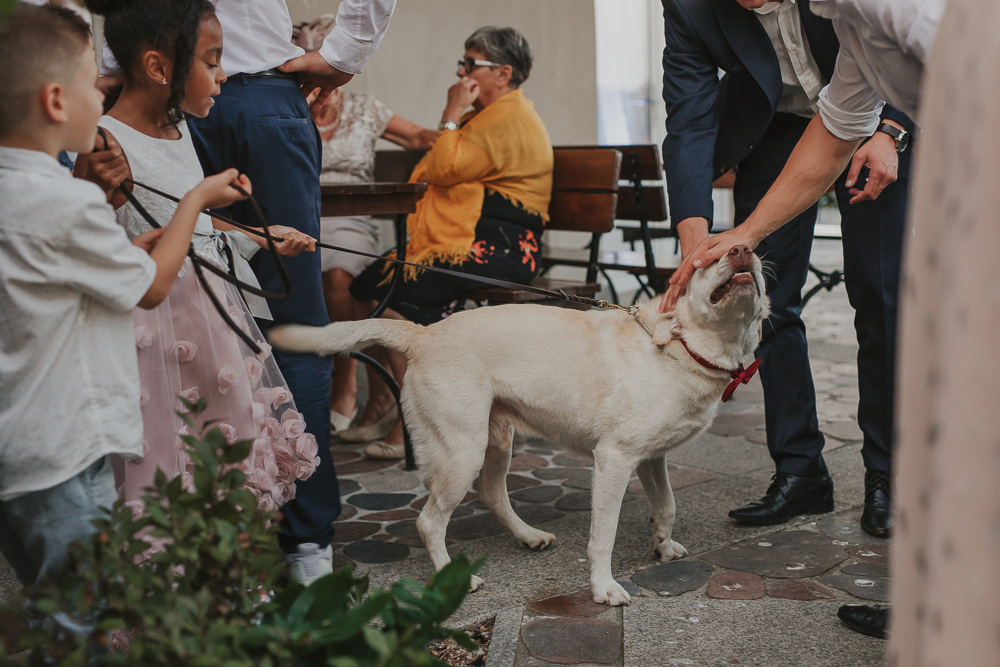 Paulina i Dawid – reportaż ślubny - fotograf ślubny Białystok Łomża Podlasie - Kamil Rumiński fotografia ślubna - fotograf ślubny Białystok Łomża